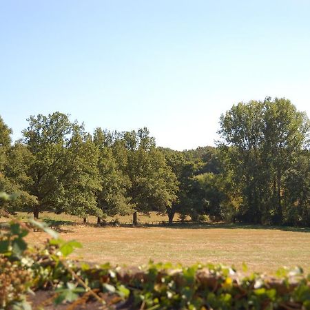 Willa Gite Du Vieux Charme Saint-Amand-en-Puisaye Zewnętrze zdjęcie